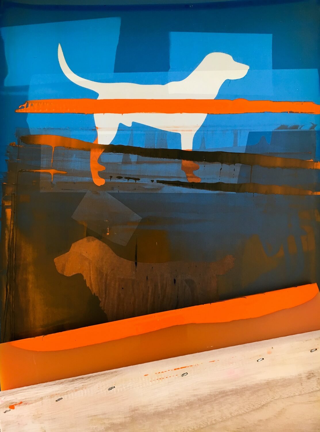 Druk sublimacyjny - co to?